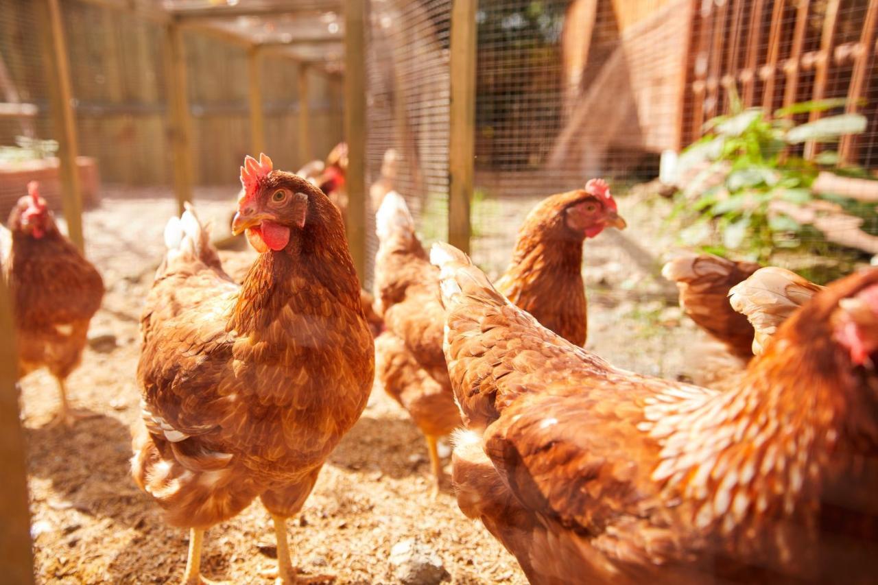 La Cocotte Villa & Farm Khao Yai Nong Sarai Экстерьер фото